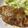 クック2H9MD0☆'s cooksnap of when they made 味噌が決め手！豚肉の生姜焼き.