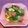 クックELI7VG☆'s cooksnap of when they made ホウレン草ｘ卵ｘスパムでチャンプルー風！.