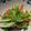 ラクラクダ's cooksnap of when they made 野菜の甘酢生姜和え.