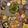 あいちー☻'s cooksnap of when they made 生春巻き.