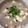 ちゃろみん's cooksnap of when they made 簡単！冷やご飯でとろとろ中華粥！.