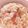 ちょちょこ✫'s cooksnap of when they made タコのガーリックチャーハン♪.