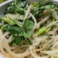 ぐりとぐらの姉's cooksnap of when they made パクチーともやしのサラダ.