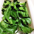 コネコリン's cooksnap of when they made 手作りローリエ.