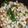 クックJXG9VM☆'s cooksnap of when they made とろ〜り♪麻婆大根.