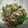クック6DDPP8☆'s cooksnap of when they made お弁当に！ピーマンとしめじのおかか炒め.