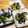 クックPJVPTO☆'s cooksnap of when they made お箸が止まらないブロッコリー和え.