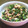 クリーピングタイム☆'s cooksnap of when they made ☆大根菜と鮭のふりかけ☆.