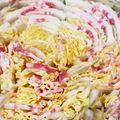 歩月★'s cooksnap of when they made 簡単★ミルフィーユ鍋★大量白菜.