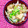 ふたごゆき's cooksnap of when they made キャベツと厚揚げのピリ辛みそ炒め.