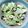 みわたけ's cooksnap of when they made やみつきキャベツ☆梅塩昆布.