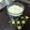 マサトシ5742's cooksnap of when they made ヨーグルトのみの、柚子レアチーズケーキ.