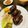 みーのkitchen's cooksnap of when they made ころころ♪牛肉巻きおにぎり.