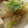 MULA's cooksnap of when they made 白菜とピーマンのおかか和え.