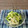 ◆どらしま◆'s cooksnap of when they made 切って和えるだけ！長芋&胡瓜の山葵和え♪.