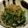 ☆すぬぴっぴ☆'s cooksnap of when they made じゃこピーマン.