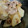 クックSEESE4☆'s cooksnap of when they made カブの豚バラ炒め　#簡単#大人数.