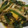 ヨシヨッシー's cooksnap of when they made 給食のほうれん草のしめじ和え.