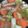 クック2H9MD0☆'s cooksnap of when they made ゴロゴロ野菜たっぷりポトフ♪ほっこり♡.