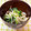 HiMa57♪'s cooksnap of when they made もやしとほうれん草のおひたし風サラダ.