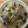 かおり♡♡♡'s cooksnap of when they made ずぼらダイエット♡きのこ鍋.