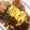 カナダちびママ's cooksnap of when they made ♡本格派♪チャプチェ♡.