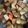 クックMODU5U☆'s cooksnap of when they made 冬瓜の煮物.