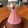 クックG15S33☆'s cooksnap of when they made でかいアポロチョコ.