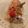 クックS5N2AF☆'s cooksnap of when they made ブッシュドノエルの作り方【クリスマス】.