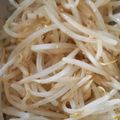こうのとりヒロシ's cooksnap of when they made レンジで簡単！もやしのナムル.