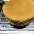 リトマス試験紙's cooksnap of when they made 料理教室直伝♡簡単基本のスポンジケーキ♡.