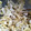 yikar1's cooksnap of when they made 白菜の大量消費★超簡単おつまみサラダ★.