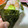 ももかば's cooksnap of when they made 手巻き寿司にぴったりな海苔の切り方♫.
