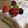にげみず's cooksnap of when they made クリスマスケーキ★白いブッシュドノエル.