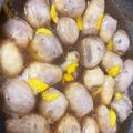 ボンビー都会ガール's cooksnap of when they made 里芋の菊花あんかけ.