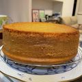 manoyunomy's cooksnap of when they made 共立て♡２1ｃｍ型ふわふわスポンジケーキ.