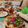 おうちごはん☆'s cooksnap of when they made クリスマス簡単サラダ＊レンコン雪の結晶＊.