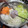 mikko6's cooksnap of when they made とらふぐで簡単旨いてっちり.
