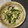 おはなすき's cooksnap of when they made 超簡単 カブの葉と豚肉の生姜炒め.