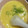 あさぎやま's cooksnap of when they made 中華風コーンスープの卵スープ♡とろり絶品.