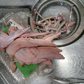 ねここfm's cooksnap of when they made 手羽先の捌きかた。.