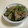 papikun's cooksnap of when they made 豚肉とピーマンのオイスター炒め.