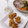 ☆★ケイト★☆'s cooksnap of when they made おつまみ☆カボチャの種とワタの簡単揚げ☆.