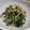 fu♪♪'s cooksnap of when they made 春菊とハムのナムル♥レンジで簡単☆.