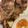 TeaMuffin's cooksnap of when they made 焼肉のタレで鶏のサッパリ？！煮.