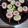 ひっこ's cooksnap of when they made 簡単おつまみ♪ちくわのカラフル串.