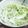 すー818's cooksnap of when they made ☺大量消費に☆簡単♪白菜のレモンマリネ☺.