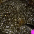 まつこサン's cooksnap of when they made 湿気た海苔をリメイク！海苔の佃煮.