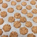 美味しいずき's cooksnap of when they made さくっと軽い★きな粉のメレンゲクッキー.