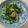 クック81NK9U☆'s cooksnap of when they made ✿春菊のにんにく炒め✿.
